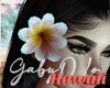[Ga] Hawaii Flor ❀