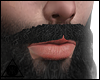 K | Sir Mustache