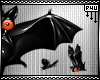 -P- Flying Stalker Bats