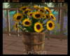 *Sunflowers