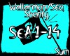 Wellerman/ Sea Shanty