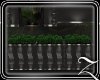 ~Z~Cherish Plant