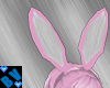 ~J~ Pink bunny ears