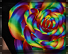 V| Large Pride Rose