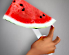 Fresh Watermelon Slice