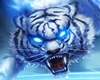 blue ice tigerin frame
