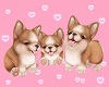 Cute puppies 💋