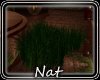 NT Animated Grass