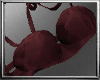 Hush Undies