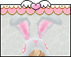 M| Bunny2 Ears