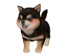 Y*Puppy Shiba Furniture