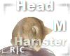R|C Hamster Cozy Head M