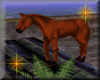 Horse with 5 sounds