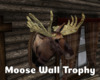*Moose Wall Trophy