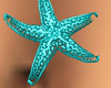 *cp*Starfish Slvr Pierce