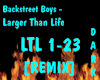 Larger Than Life Remix