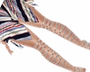 Shoes Zoe