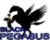BLACK PEGASUS