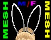 Rabbit Ears *M/F *MESH