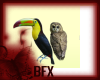 BFX Toucan & Owl