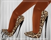 |C| Chocolate Leo Heels