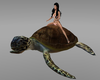 Swim turtle for 2
