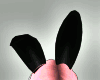 [C] Black Bunny
