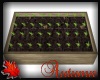 Seedling Box