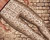 Gold Pant M
