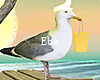 Sea Bird