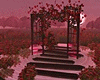 Red Lake Photoroom