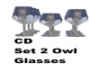 Stunning Owl Glasses 2