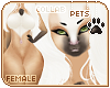 [Pets] Phar | fem fur