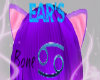 purple kitten ears {B}