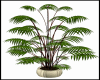 [V]  Pot Plant