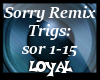 sorry remix