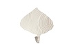 NoPose,Cream Leaf