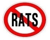 NO Rats