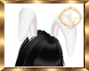 Bunny Ears