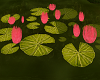 lotus flower+8 pose