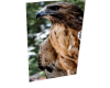 Cutout 123