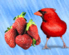 Bird strawberry Enhancer