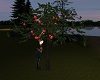 Farm Apple Tree Kiss