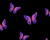 Pink butterfly bg