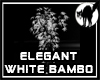 Elegant White Bambo