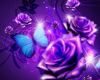 ! Butterfly Roses Purple