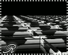 Birds W(000-002)