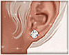 Jewel Earring v2A