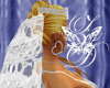 Wed3 Veil