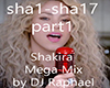 *RF*Shakira Megamix p1